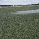 옥구저수지 이미지