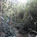용혈암지 | 덕룡산 등산 최단코스 만덕광업코스 후기(블랙야크 100대 명산)