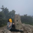 [영남 알프스 9봉 완주]일정 및 후기(1일차: 가지산, 문복산, 고헌산)