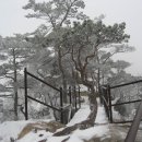 제 207 차 정기산행신청/문경 황장산(1077M) 이미지