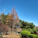 자산동167 이미지