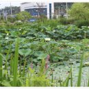 동국농장 이미지