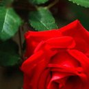 동광약국 이미지