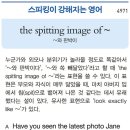 the spitting imageof ~ 이미지