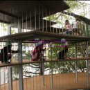 삼성유치원 이미지