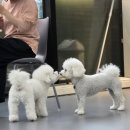 리앤드딩 이미지