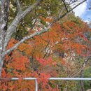 금강카정비 | [초보, 부모님 등산 추천코스] 대둔산 케이블카 타고, 단풍 산행, 실시간 단풍현황(케이블카~구름다리...