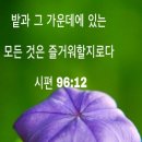 다복해 이미지