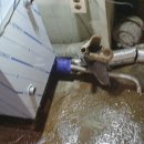 영월연탄 이미지