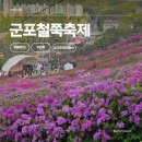수리산역 | 군포철쭉축제 후기 (가는법, 푸드트럭) 및 개막식 이승기 박정현