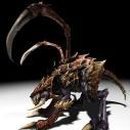 멍멍이집 이미지