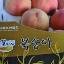 외성농장 이미지