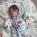 전치 앞(2) | 생생한 제왕절개 출산 후기 (34주 조기출산, 전북대병원, 전치태반, 미숙아)