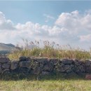 제주언니 이미지