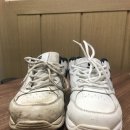 펭귄세탁 이미지