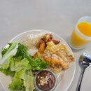 946 | 대한항공 기내식 후기🛬 (KE946, 프랑크푸르트->인천, 기내식 시간 포함)