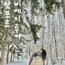 [삿포로] 흰눈의 크리스마스트리 (Feat. 여행한그릇비에이투어 )