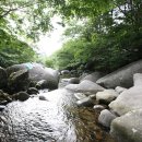 용담면 벚꽃길 | 진안 가볼만한곳 베스트10 핫플레이스