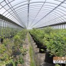 느루농장 이미지