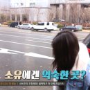 용카 이미지