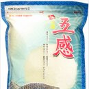 오감상사 Daum카페