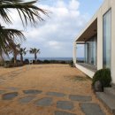 흰고래 숨비 이미지