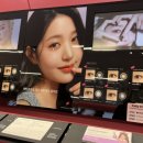 하파크리스틴 홍대점 이미지