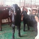 이천제이농장 이미지