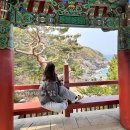 해수산삼 황태해장국 | 양양 여행 후기｜낙산해변·양양시장·카페맴맴까지 1박2일 기록