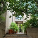 백조세탁 | 에토프 꾸뛰르 촬영가봉 4벌 선택 후기 무이스튜디오 촬영 드레스 추천