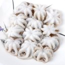 푸른바다 볼테기 이미지