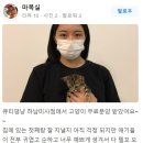 큐티댕냥 하남 본점 강아지 고양이 분양 이미지