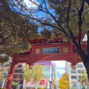 올드보이 | 부산 차이나타운 맛집, 부산역 올드보이만두 장성향 후기