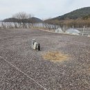 닮다, 담다 153 이미지