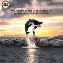 프리윌리