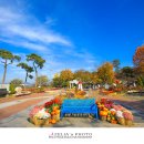 화원유원지 이미지