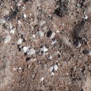 Extraction du sable marin : le fléau invisible 이미지