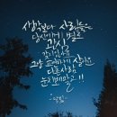 늘푸른수산 네이버블로그