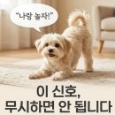 플레이바우