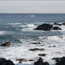 바다부채길2 이미지