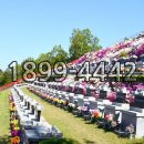 그린장묘 - 고양시 일산동구 강석로 145 | 그린장묘