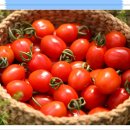 운정푸드 이미지