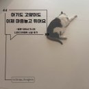 대한반려동물협회 | 자이시그니처 층간소음매트 니치039매트 시공후기 | 아기·반려동물 안전까지 잡은 거실·복도·주방 시공