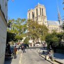 한가로이민박 이미지