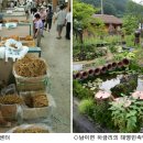 인삼웰빙사우나 세계일보