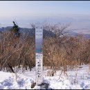 새은약국 Daum카페