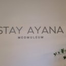 스테이아야나(STAY AYANA) 이미지