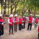 그린쇼핑 이미지