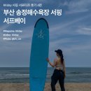 서프베이 이미지