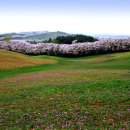 시원목장 이미지